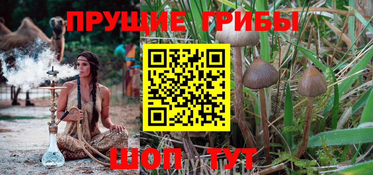 Реж  Галлюциногенные грибы прущие грибы  Псилоцибиновые грибы мицелий  Вход с VPN 
