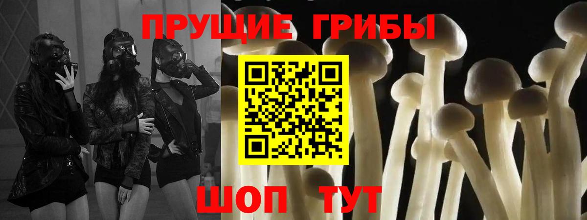 Галлюциногенные грибы прущие грибы Реж